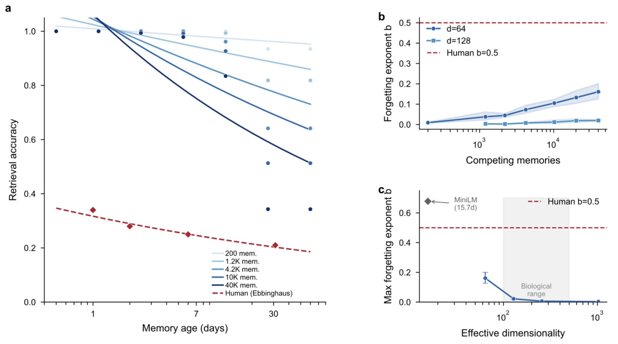 Geometry of Forgetting: Why Brains and LLMs Fail EXACTLY the Same Way figure