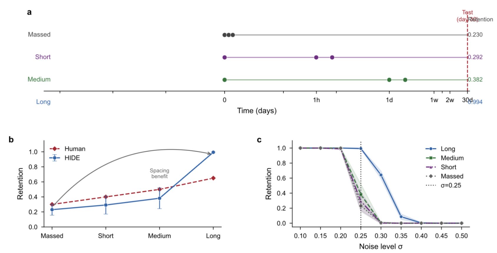 Geometry of Forgetting: Why Brains and LLMs Fail EXACTLY the Same Way figure